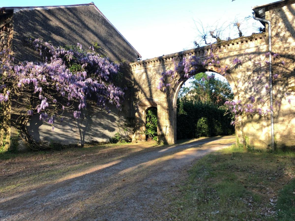 Saint-Sulpice-en-Pareds Chateau De La Mothe מראה חיצוני תמונה