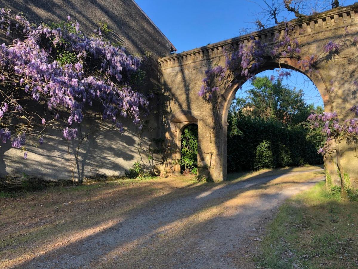 Saint-Sulpice-en-Pareds Chateau De La Mothe מראה חיצוני תמונה